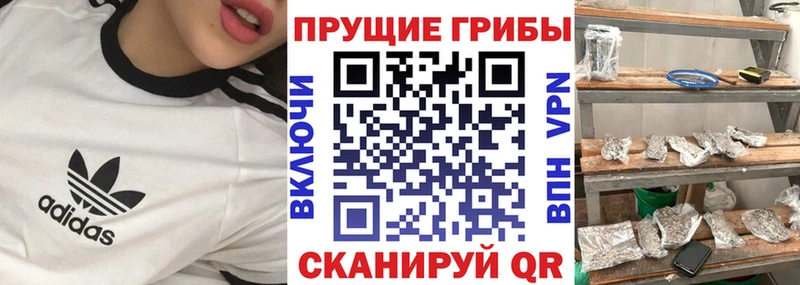 наркота  Чистополь  Галлюциногенные грибы Cubensis 